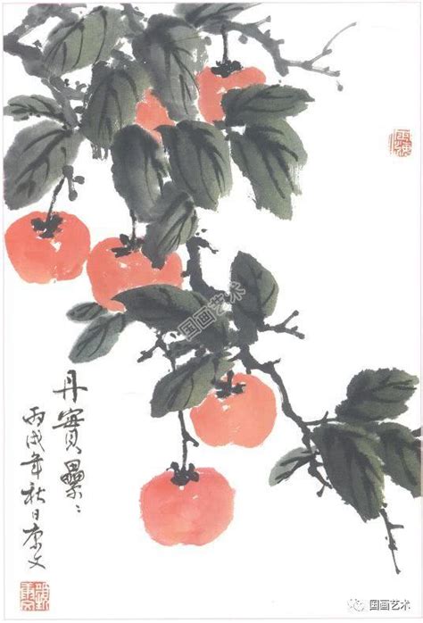 非洲菫 葉子下垂 柿子國畫